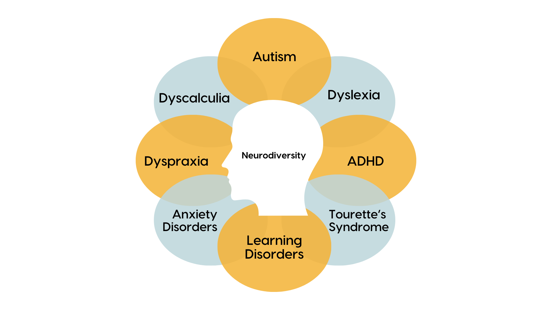 A diagram, in orange and blue, that depicts the most common conditions associated with neurodiversity - Autism, Dyslexia, ADHD, Tourette's Syndrome, Learning Disorders, Anxiety Disorders, Dyspraxia and Dyscalculia.